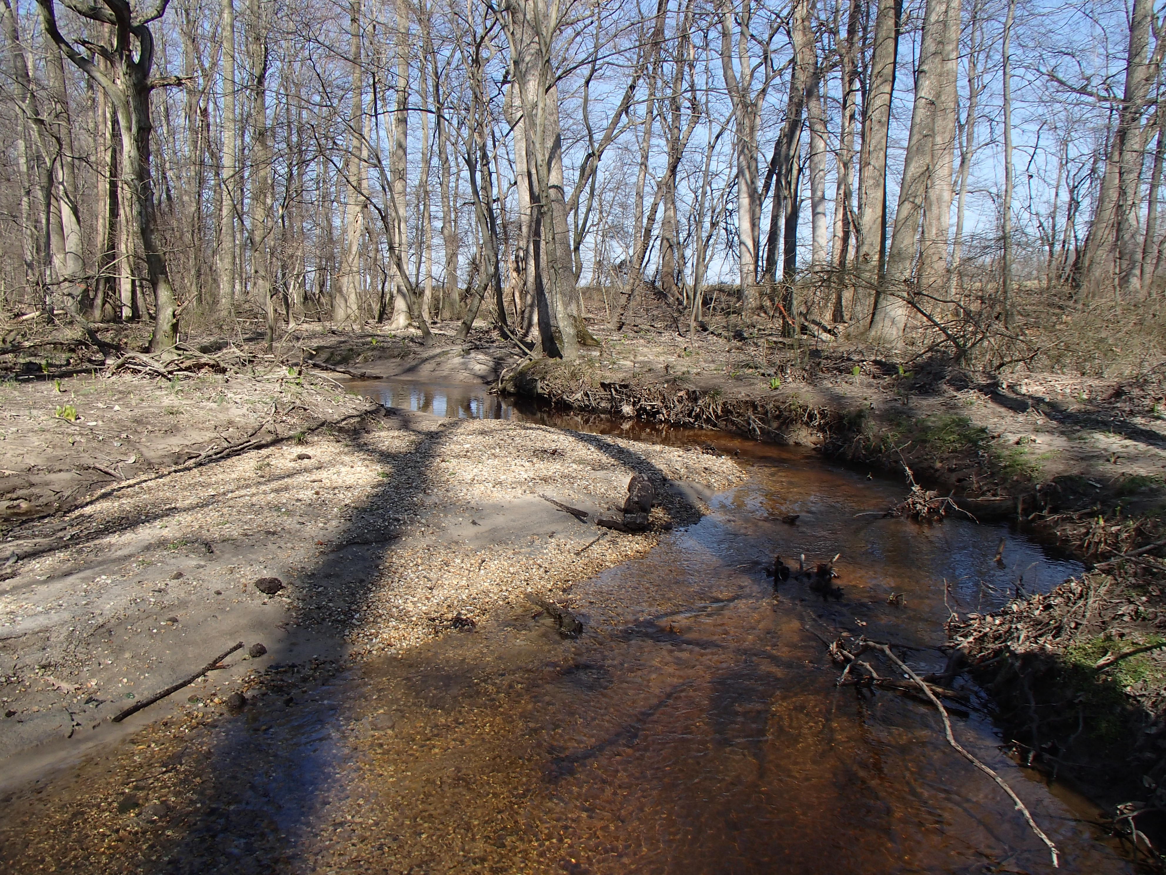 Field photo showing stream conditions at site TUCK-203-R-2016_midpoint looking upstream